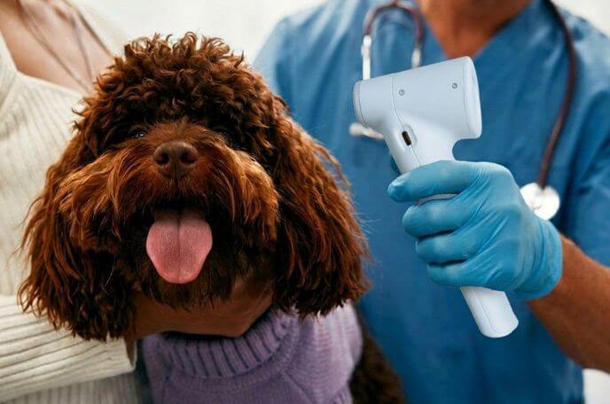 Veterinary handheld ultrasound scanner skin assessment monitoring documentation​
