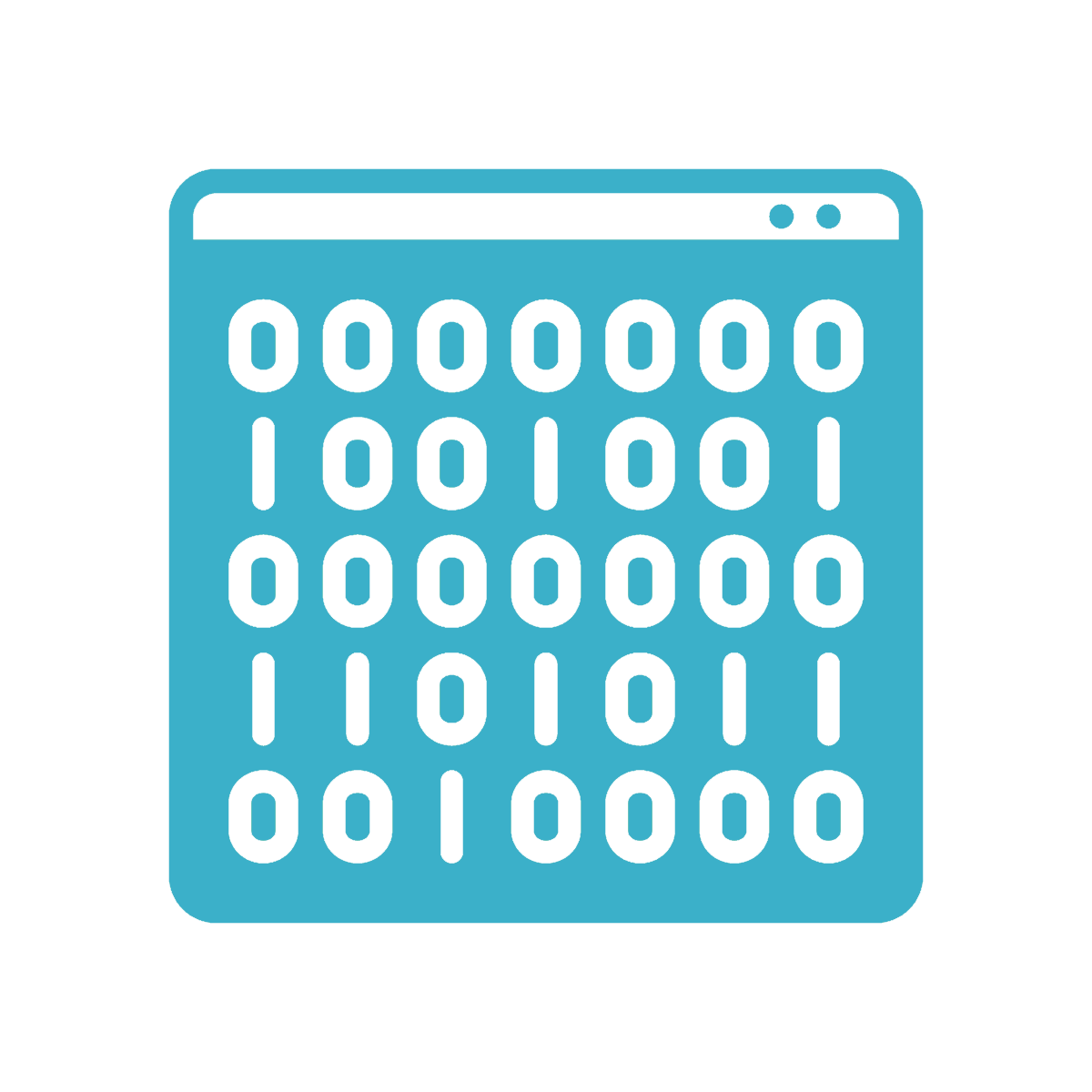 AnyCage Lite Data Collection Software