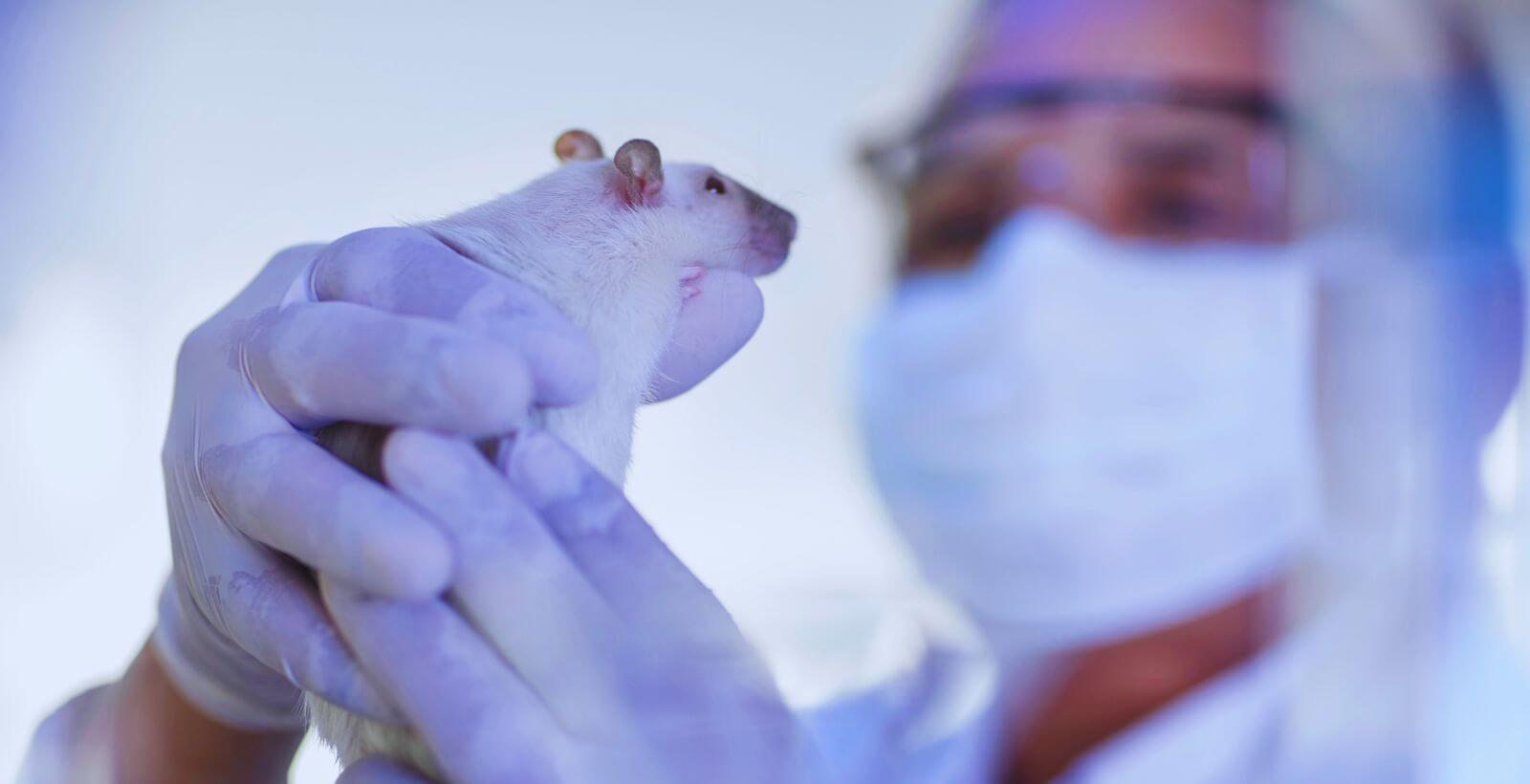Anesthesia-Induced Hypothermia in Mice