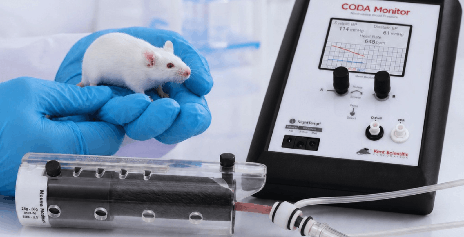 Mouse being held by a scientist wearing blue gloves near a CODA system