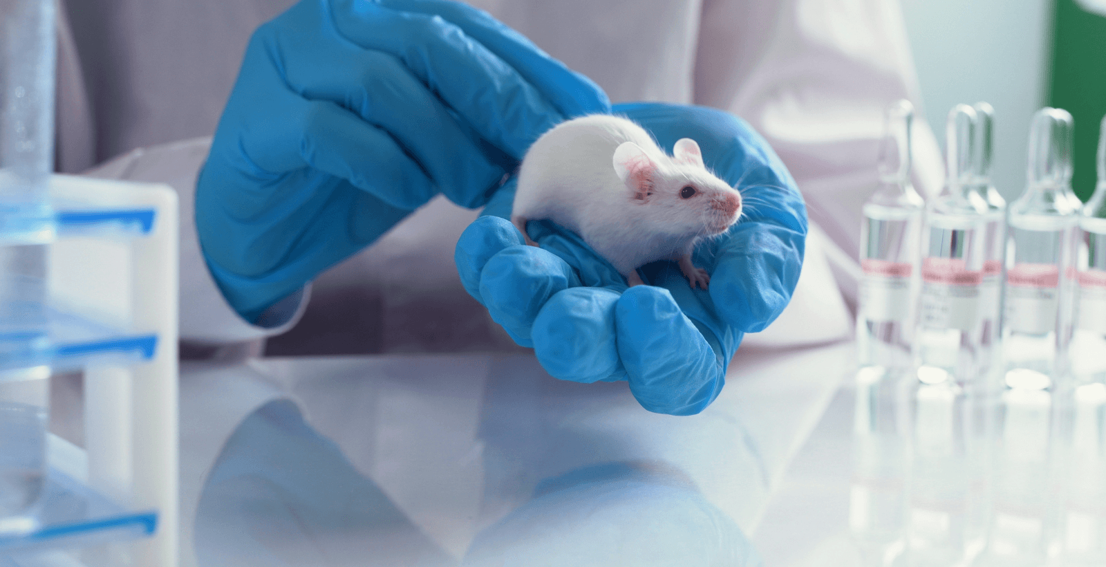 white mouse in lab being held by scientist wearing blue gloves with lab equipment around them