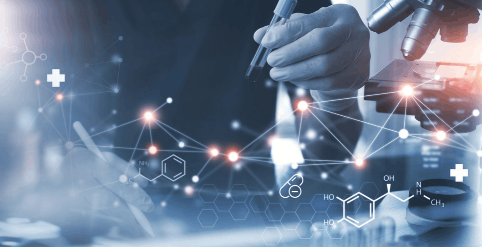 New Approach Methodologies (NAMs): What NIH’s Shift Means for Animal Research