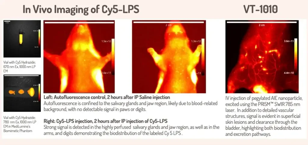 SWIR Skin Scanner displaying CY5 imaging